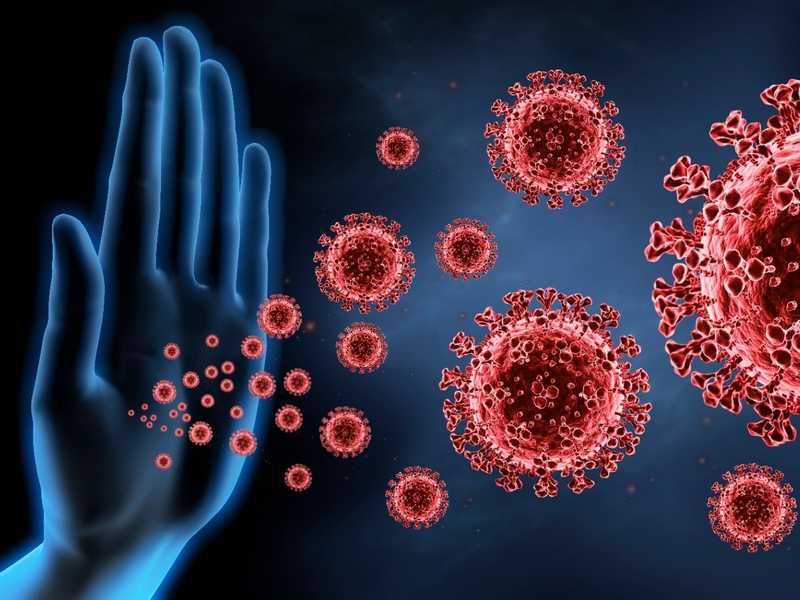 Who are the 5 allies of the immune system? - En.ImArabic