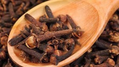 Uncovering the Hidden Benefits of Clove for Hair Health: From Scalp Treatment to Gray Hair Reduction
