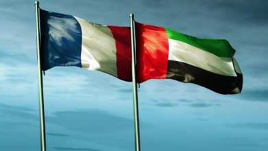 UAE, France: Strategic Partnership and Consensus in Facing Challenges