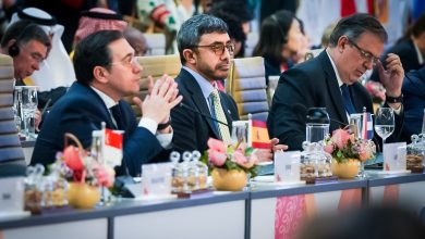 Abdullah bin Zayed Al Nahyan participates in G20 Foreign Ministers' meetings in India