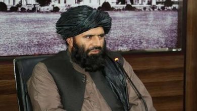 Assassination of the governor of Balkh province in a suicide attack in Afghanistan