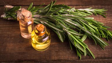 Rosemary- its health virtues to discover