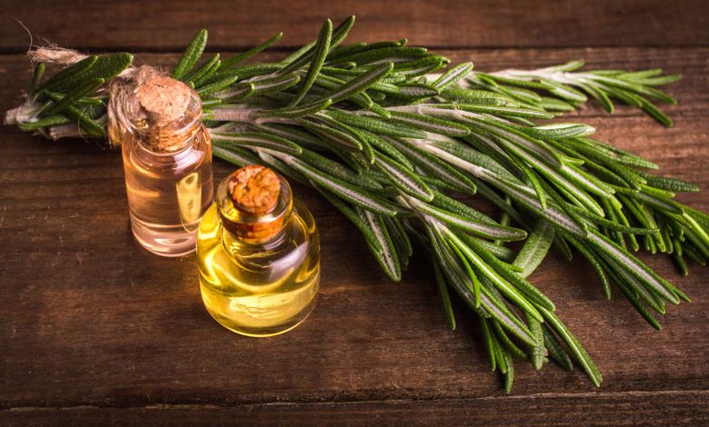 Rosemary- its health virtues to discover