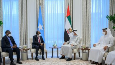 UAE continues support for Somalia towards security and stability