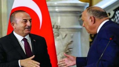 Sameh Shoukry to Turkey... Summer heat is melting the ice between Cairo and Ankara