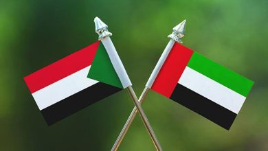 UAE, Sudan: Active Diplomacy for Peace Accelerates Resolution of Crisis