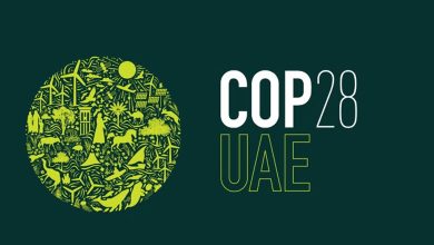 Youth and relevant authorities... Programs and initial events for the UAE for the COP 28 climate summit