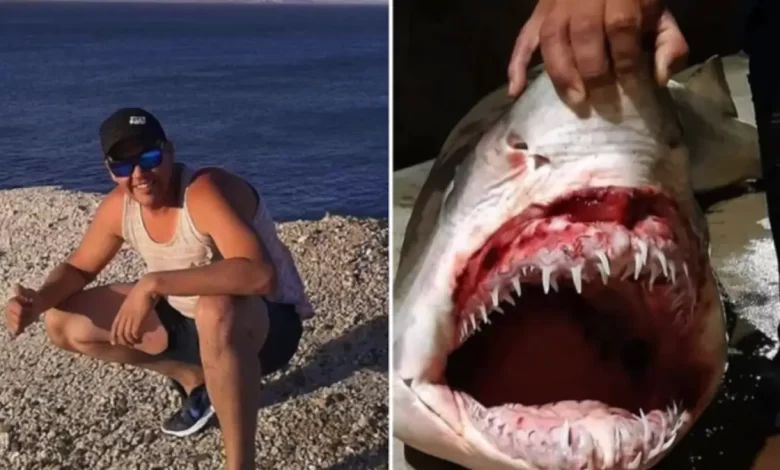 Man missing after shark attack