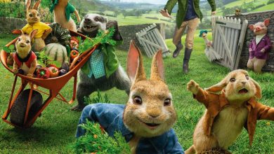 Pierre Lapin 2, action and humor for this much anticipated sequel