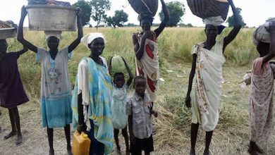The World Food Program warns against looting of aid in Sudan... details