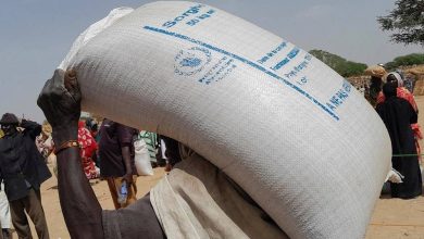 World Food Programme: $14 million worth of food products stolen in Sudan