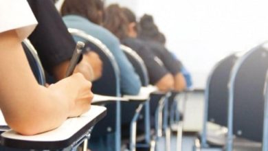 Experts- Diversity and Strangeness of Questions Pose a Major Challenge for Students