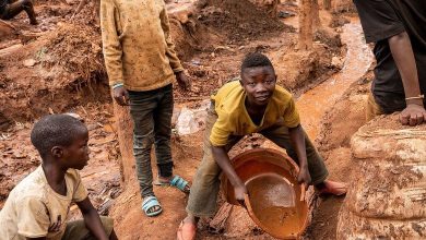 International Labour Organization- Rise in child labor worldwide to 160 million