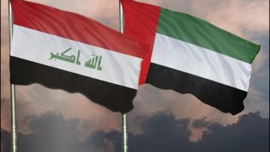 The UAE and Iraq: Historical Links and Progress Towards Advancement
