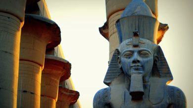 Western Scholar Ramses II did not achieve victory and built a false glory through propaganda