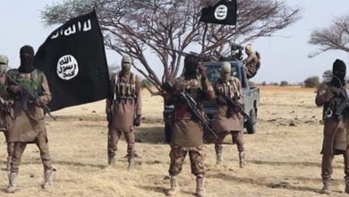 What are the implications of transnational terrorism, its boundaries, steps, and models? Experts explain
