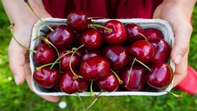 Why don't we throw away the cherry tails