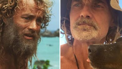 An Australian man lives a Castaway movie-like story and survives by a miracle