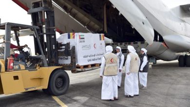 An Emirati aid plane arrives in Chad in support of Sudanese refugees and the local community