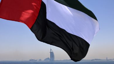 An expert strategist: The foreign policy of the UAE+ is based on steadfast principles and clear visions