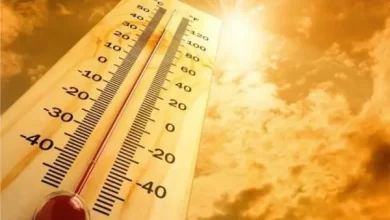 Climate- 2023, the year of all records! Extreme temperatures expected