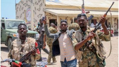 Sudan enters a "new phase" of war - Details