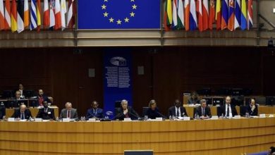 The European Parliament Sparks Criticism in Lebanon - Details