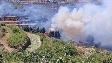 The forest fires crisis in Syria threatens the fate of farmers