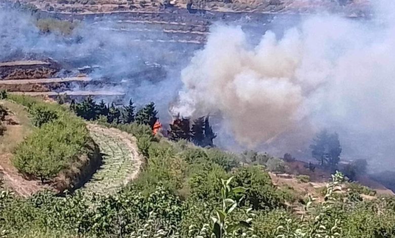 The forest fires crisis in Syria threatens the fate of farmers