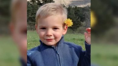 The mystery of Emile’s disappearance- the family fought...