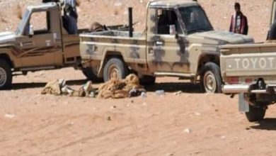 UN Message of Reassurance: The assassination of Hameed in Taiz will not affect humanitarian interventions