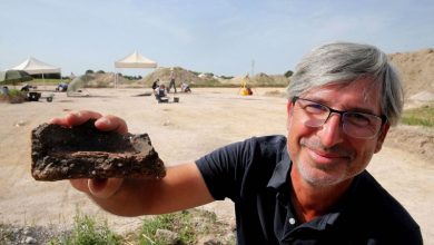 After 150 Years of Excavation... Discovery of a Stone Age Village in France 