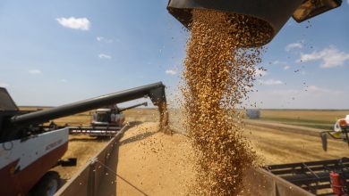 After the Escalation of the Russian-Ukrainian Conflict: Major Global Food Crisis Looms 