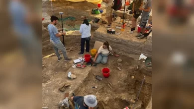 Discovery of an Ancient Trading Center in Cyprus... and a Precious Treasure in Tombs