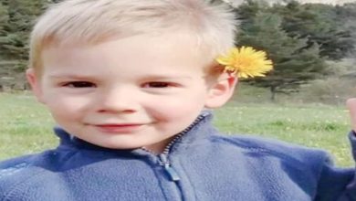 Émile’s disappearance: New revelations!