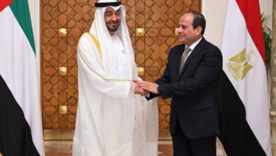 Media professionals: Egypt and the UAE, a pivotal partnership for supporting Arab efforts and facing challenges
