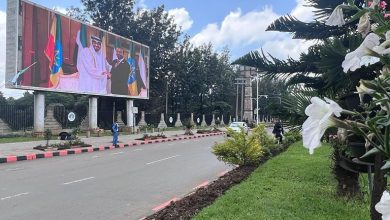 Mohamed bin Zayed's Visit to Ethiopia... Addis Ababa Adorned with UAE Flags