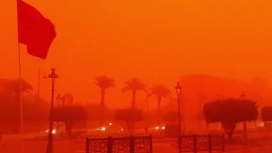 Morocco- Violent Sandstorm Kills Man in Marrakesh