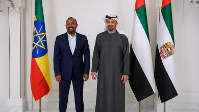 Political Science Professor- UAE Plays a Significant Role in the Stability of the African Continent and the Resolution of the Renaissance Dam Crisis