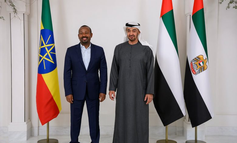 Political Science Professor- UAE Plays a Significant Role in the Stability of the African Continent and the Resolution of the Renaissance Dam Crisis
