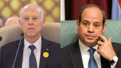 Shoukry Conveys a Message of Support for Kais Saied from el-Sisi 