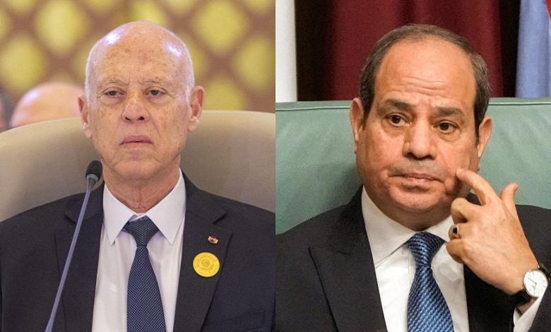 Shoukry Conveys a Message of Support for Kais Saied from el-Sisi 