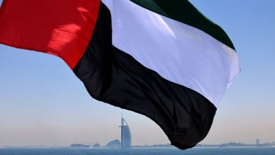The UAE Calls for Comprehensive Solution in Yemen and Confrontation of Houthi Destabilization Schemes