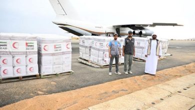 According to "Al-Bayan" newspaper, the UAE humanitarian team present in Chad distributed food parcels to Sudanese refugees and the local community in the villages of Kasougui, Kamrot, Koukouna, Herki, Soumonta, and Properi. This effort was carried out under the guidance of the UAE Coordination Office for Humanitarian Assistance.