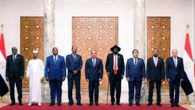 What are the mechanisms and goals of the neighboring countries' summit in Chad to end the war in Sudan?