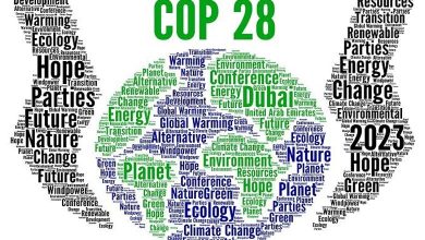 After the G20 Agreements... The World Relies on the UAE to Eliminate Fossil Fuels in COP28