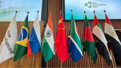 Due to their strong influence, can Egypt, Saudi Arabia, and the UAE succeed in imposing balance within BRICS?