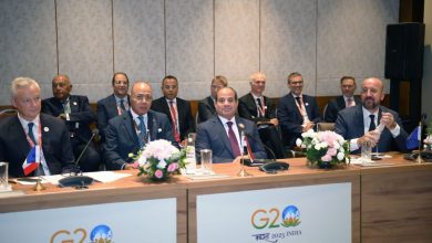 El-Sisi meets Erdogan at the G20 summit... What did the first meeting between the presidents discuss? 