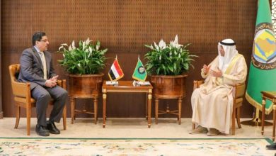 First Visit in 8 Years - Gulf Confirmation of Support for Peace Efforts in Yemen