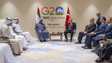 G20 Summit... A Distinctive Emirati Presence and a Sustainable Vision